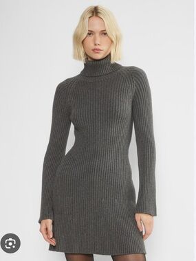 NWOT Aritzia Sunday Best Rhapsody Knit Dress